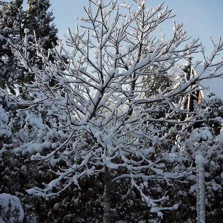 Bed & Breakfast Bed And Breakfast Birkerod Birkerod