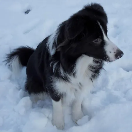 Bed & Breakfast Bed&Breakfast Birkerod Birkerød