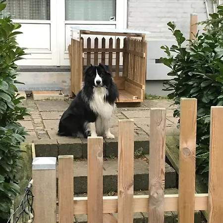 Bed & Breakfast Bed And Breakfast Birkerod