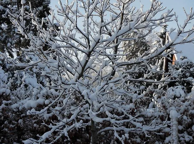 Frühstückspension Bed And Breakfast Birkerod Birkerød