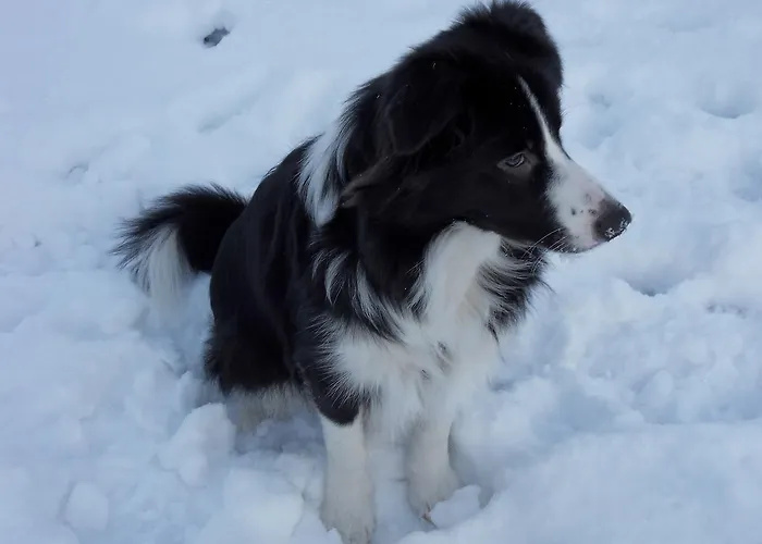 Frühstückspension Bed And Breakfast Birkerod Birkerød